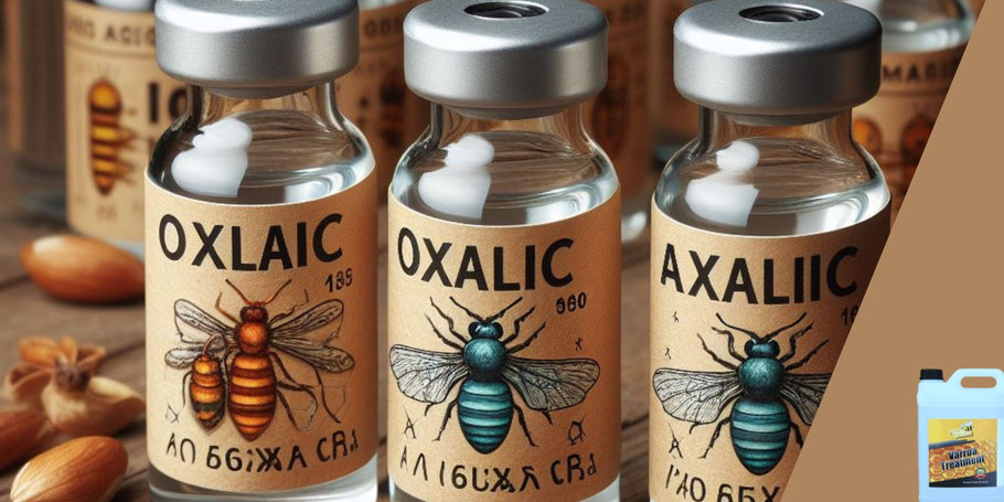 Fight against Varroa: Treatment with oxalic acid, a promising alternative